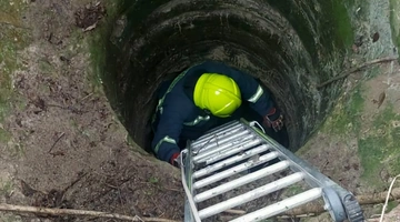 Πυροσβέστης-λάρισα-διάσωση-σκύλου