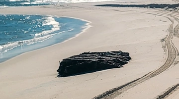 Λύθηκε ναυτικό μυστήριο του 19ου αιώνα