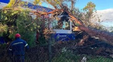 Δέντρο έπεσε πάνω σε τρένο στην Ηλεία