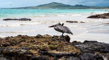 Ένα από τα νησιά των Γκαλαπάγκος