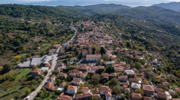 Λαύκος Πηλίου