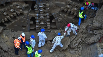 Μετροπόντικας