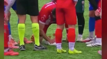 ποδοσφαιριστής γλάρος