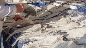 Μπακαλιάρος στην Βαρβάκειο αγορά