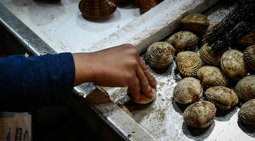 Φρούτα της θάλασσας στη Βαρβάκειο