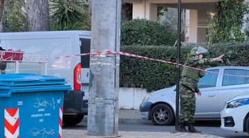 πεύκη-οβιδα