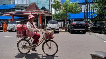 ιαπωνία μοναξιά