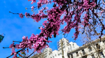 Αθήνα - καιρός