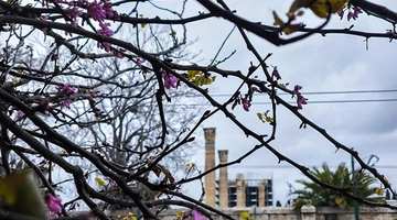 Καιρός - Αθήνα