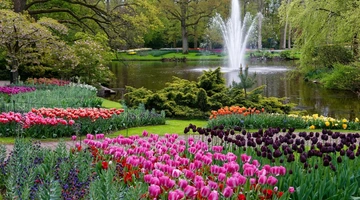 Keukenhof - Ολλανδία