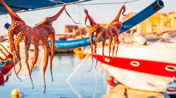 Ελληνική ταβέρνα