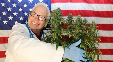 H κάνναβη στις ΗΠΑ