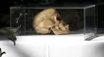 Το κρανίο γηγενούς Νάμα ή Χερέρο που σκοτώθηκε στη γενοκτονία