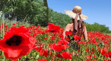 Πρωτομαγιά