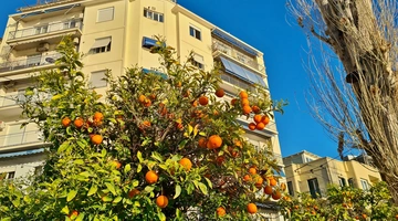 athina-nerantzia