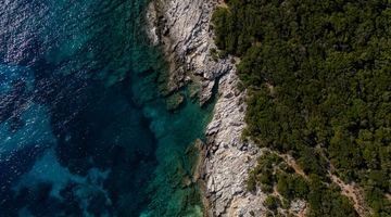 νησι