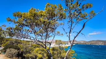 Καιρός