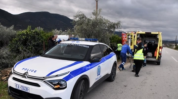 τροχαιο
