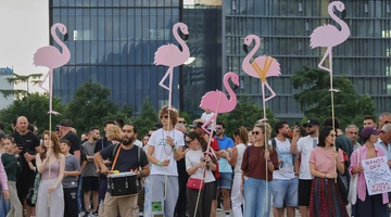 Διαδηλωτές κρατούν ροζ φλαμίνγκο κατά τη διάρκεια διαδήλωσης στα Τίρανα κατά του έργου του Κούσνερ στην Αλβανία