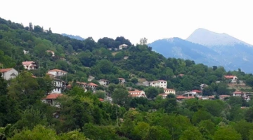 Ανθηρό 