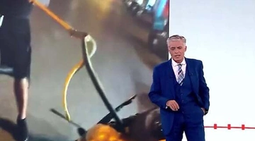 Φίδι σε αυτοκίνητο