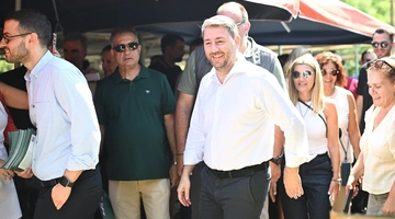 Νίκος Ανδρουλάκης