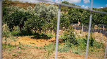 χανια δολοφονια 45χρονη