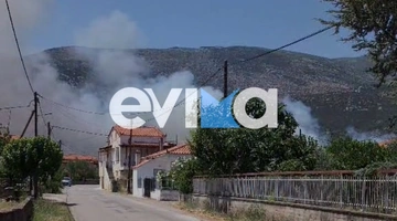 Φωτιά Εύβοια