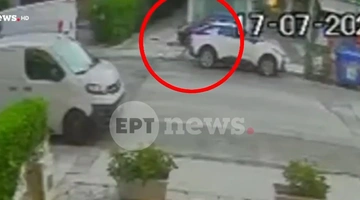 σκύλος Βριλήσσια