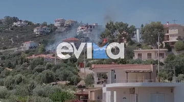 Φωτιά στην Εύβοια κοντά σε κατοικημένη περιοχή