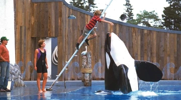 Free Willy ελευθερώστε τον Γουίλι