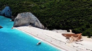 Φτέρη Κεφαλονιά