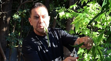 Γιώργος Μαζωνάκης