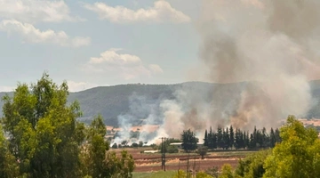 Φωτιά στα Οινόφυτα