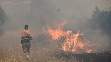 Βοιωτία 