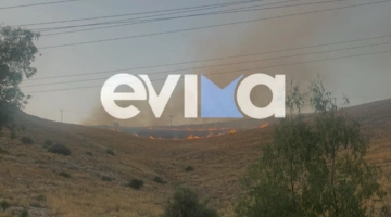 Φωτιά στην Εύβοια