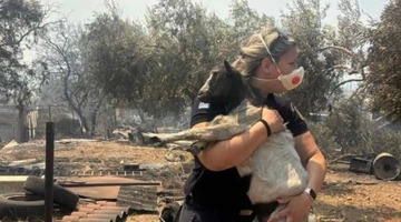 hellenicpolice_official