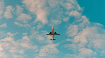 flight