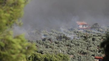 Εικόνες από τη φωτιά στη Βοιωτία