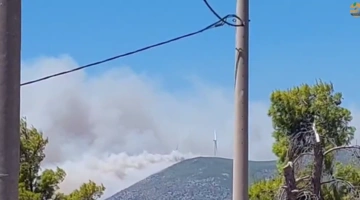 Στιγμιότυπο από το βίντεο της φωτιάς