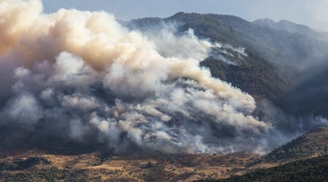 Φωτιά σε δασική έκταση αλβανια