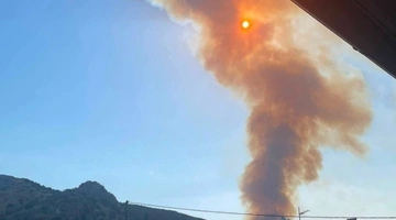 φωτια βοιωτία