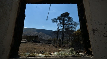 Φωτιά στην Αττικοβοιωτία