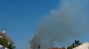 φωτια χαλκιδικη