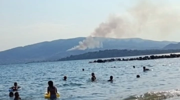 Φωτιά στις Αλυκές