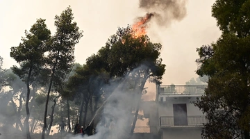 Φωτιές στην Αττικοβοιωτία