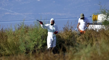 Ψεκασμοί για τα κουνούπια στην Αττική