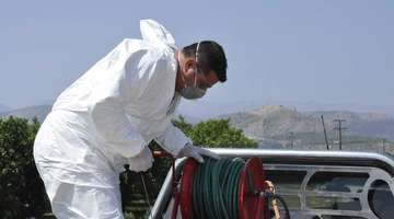 ιος δυτικού νείλου 