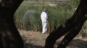 Αντικουνουπικός ψεκασμός στο πάρκο «Αντώνης Τρίτσης»
