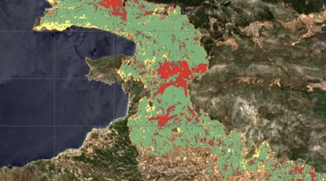 φωτια δυτικη αττικη